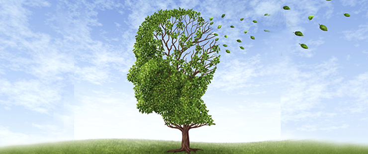 Plan Alzheimer du canton de Genève 2016-2019 Plan Alzheimer du canton de Genève 2016-2019