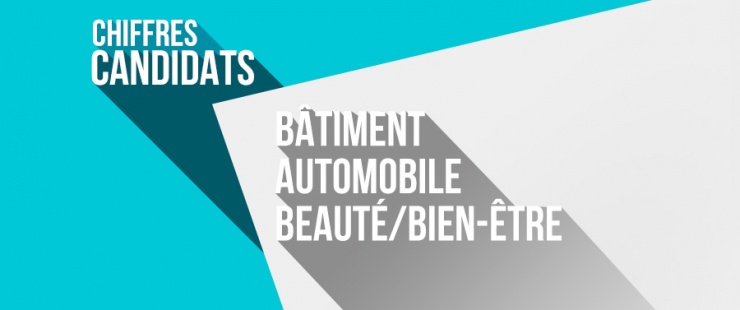 Bâtiment, automobile et beauté/bien-être : combien de candidats avons-nous dans ces secteurs ? Bâtiment, automobile et beauté/bien-être : combien de candidats avons-nous dans ces secteurs ?