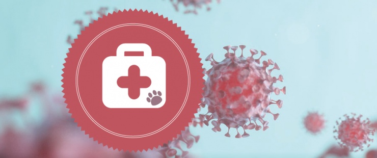 Coronavirus – informations concernant les affaires vétérinaires Coronavirus – informations concernant les affaires vétérinaires