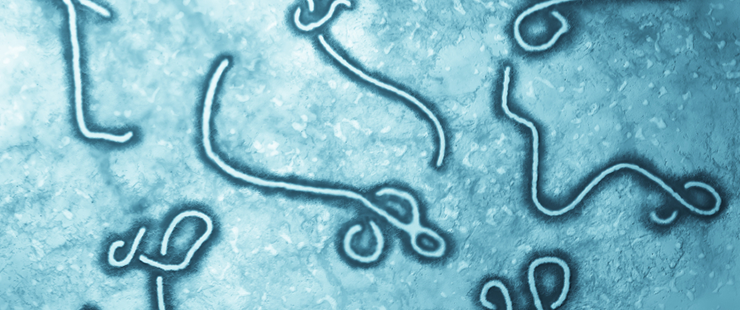 Hospitalisation aux Hôpitaux universitaires de Genève d’une personne atteinte du virus Ebola Hospitalisation aux Hôpitaux universitaires de Genève d’une personne atteinte du virus Ebola
