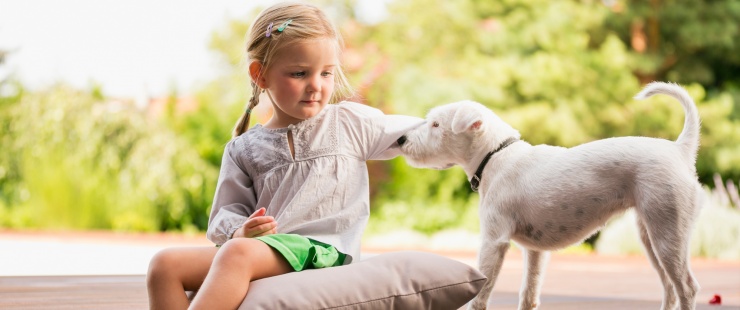 Les animaux ne sont pas des cadeaux Les animaux ne sont pas des cadeaux