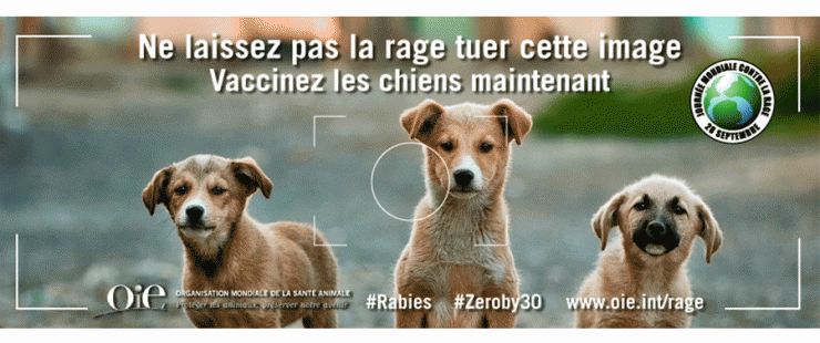 Journée mondiale contre la rage 2018 Journée mondiale contre la rage 2018
