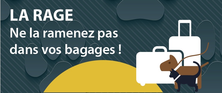 La rage – Ne la ramenez pas dans vos bagages ! La rage – Ne la ramenez pas dans vos bagages !