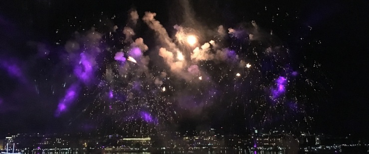 Protégez vos animaux du bruit des feux d'artifice ! Protégez vos animaux du bruit des feux d'artifice !
