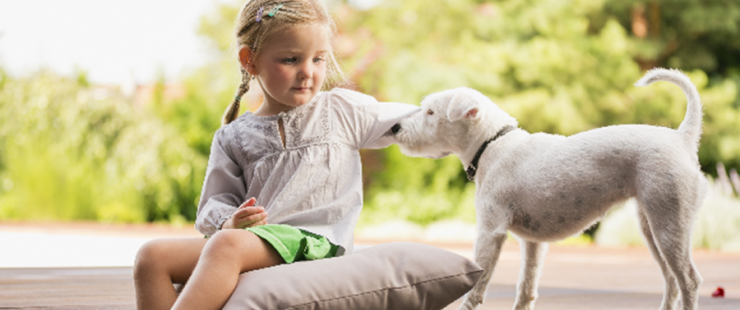 Eduquer afin d'éviter les morsures de chiens Eduquer afin d'éviter les morsures de chiens