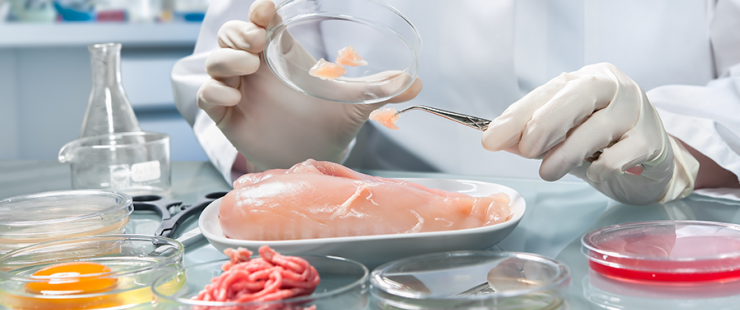 Sécurité alimentaire Sécurité alimentaire