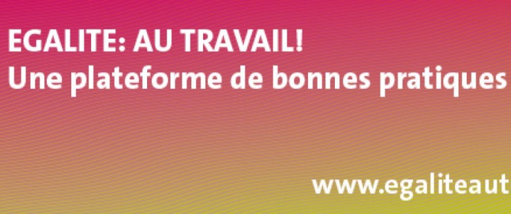 site platforme