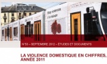rapport violences domestiques 2011
