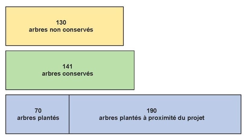 Projet Cité de la Musique - Bilan des arbres