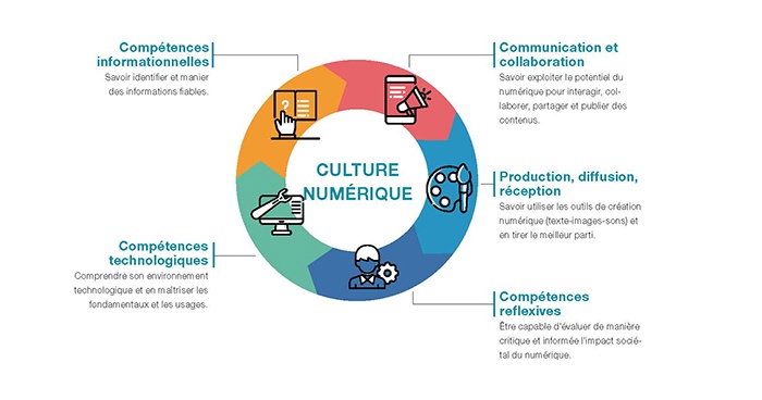 schéma illustrant les domaines de compétences numériques à développer à l'école