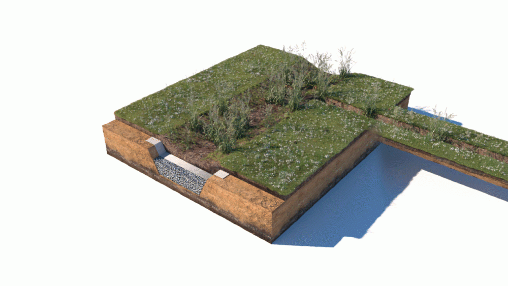 Chemins de l’eau dans une noue (Pixalab pour l'office cantonal de l'eau)