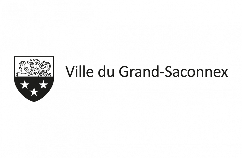 Ville de Grand-Saconnex