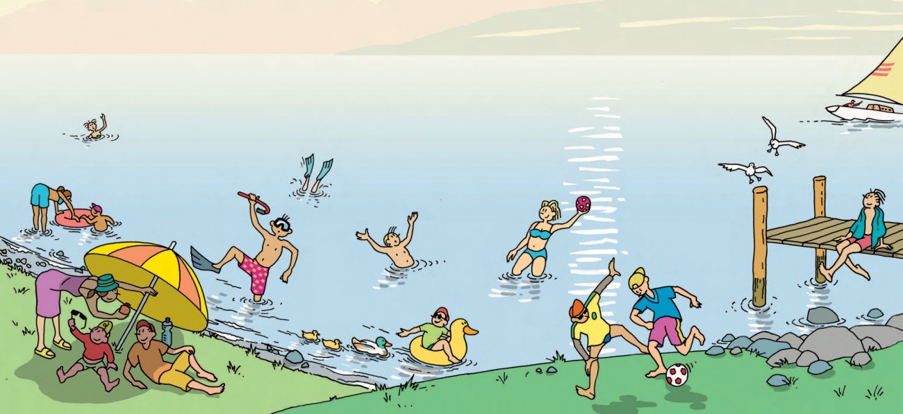 Les Puces De Canard Ge Ch Les Puces De Canard Ge Ch