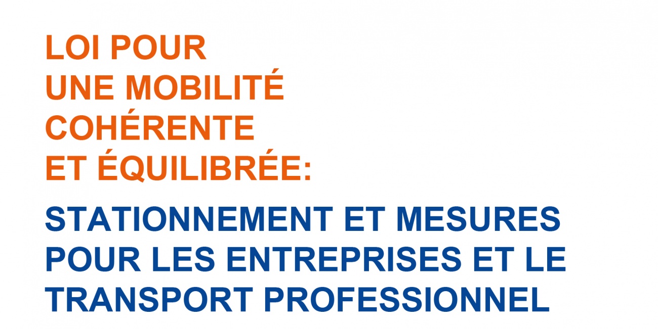 Stationnement Et Mesures Pour Les Entreprises Et Le Transport Professionnel Ge Ch