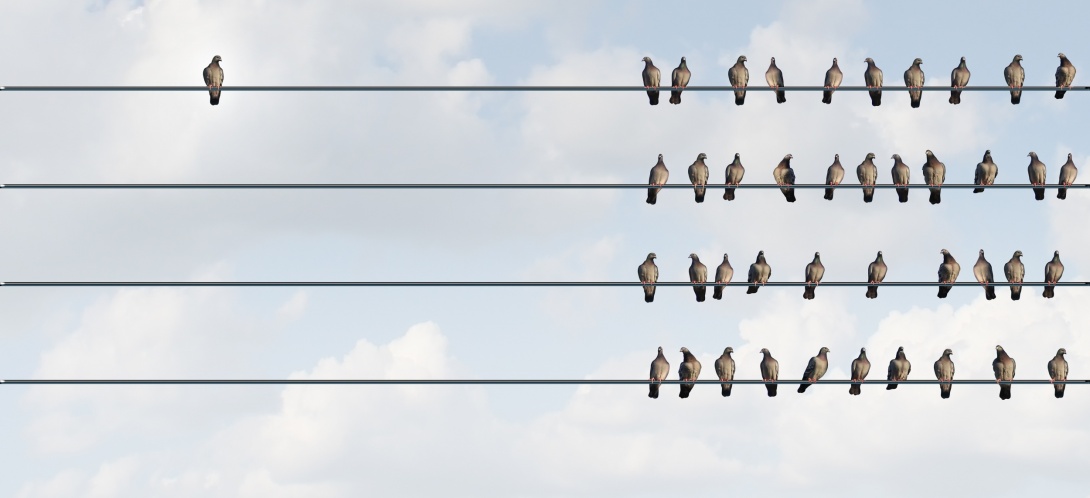 Recherche action Sur La Pr vention Des Pr jug s Discriminations Et 
