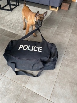 Thor tire un sac de police