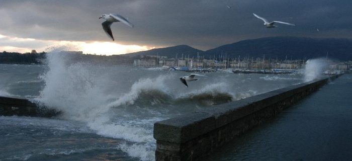 Le lac Léman agité, mouettes et gros temps