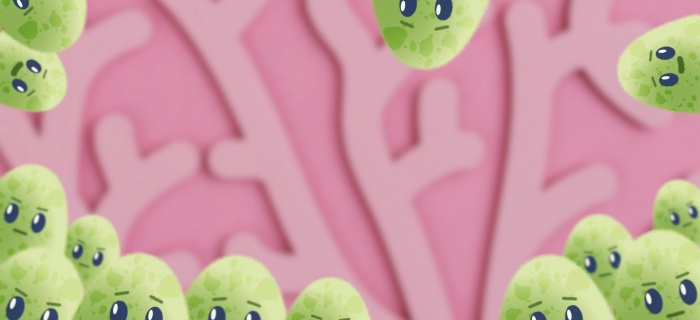 Les bons gestes pour se protéger du virus