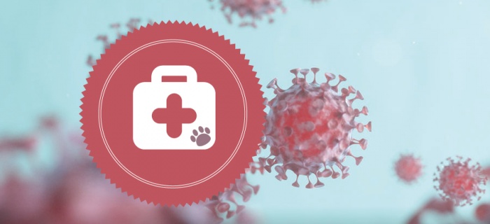 Coronavirus – informations concernant les affaires vétérinaires
