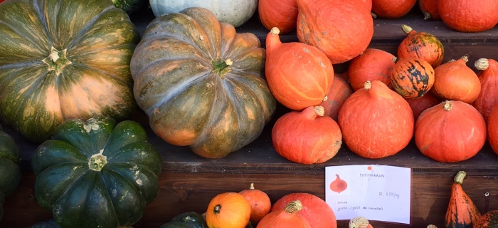 courge locale diversité