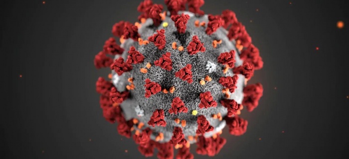 Le coronavirus modifie le travail des fonctionnaires