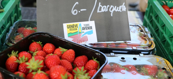 Choisir GRTA sur les bancs de marché