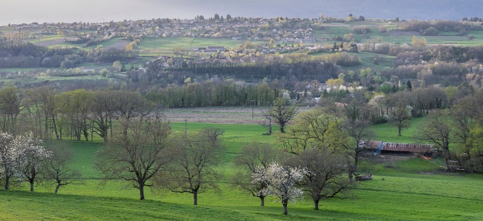 Crédit image :Jean Revillard/Genève Terroir