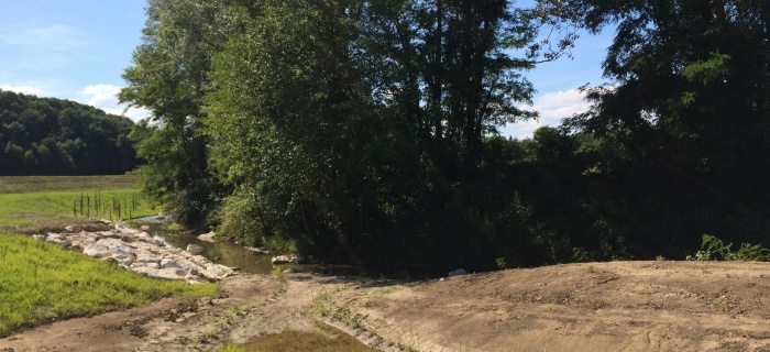 Paysage boisé et terre sèche