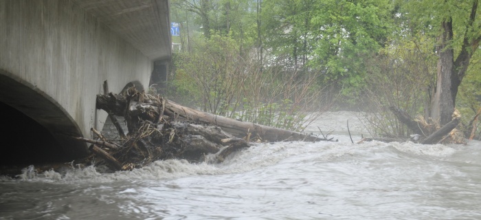 Crue de l'Arve 2015