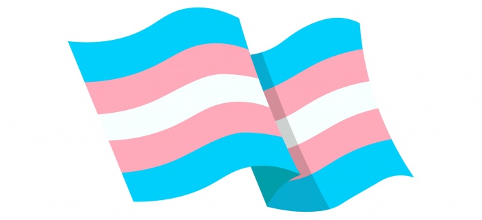 drapeu communauté transgenre