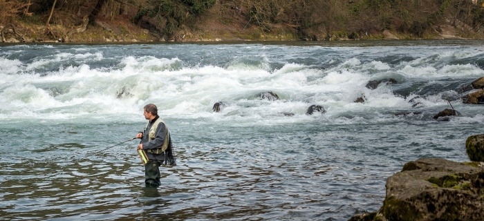 Pêcheur dans l'Arve