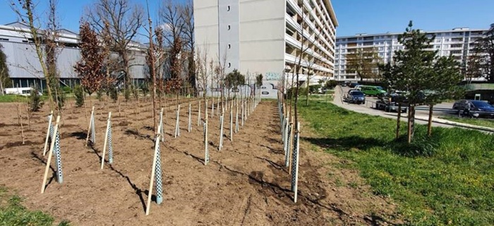 Des pépinières urbaines inédites