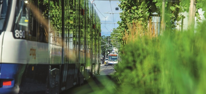 Prolongement du tram vers Bernex-Vailly