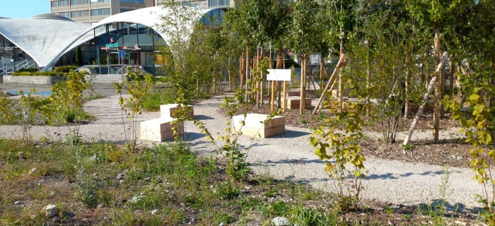 Pépinière à l'espace cool city Boissonnas