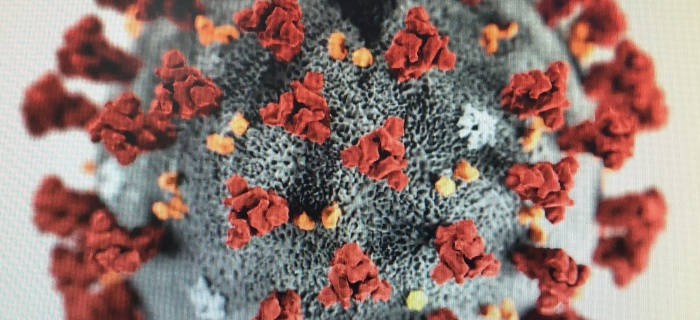 COVID-19 - Accélération de la circulation virale: mesures protectrices