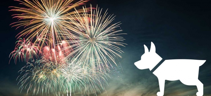 Protégez vos animaux du bruit des feux d'artifice!
