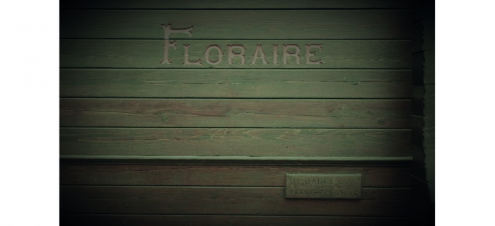 Détail des inscriptions sur le chalet Floraire, Chêne-Bourg