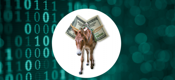 Money Mule