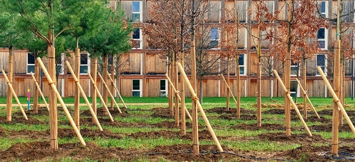 Pépinière urbaine - Domaine Rigot