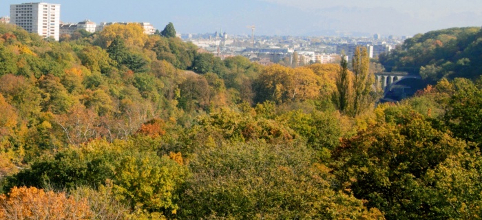 Vue des rives boisées du bord du Rhône