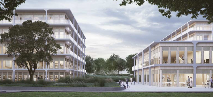 Projet d'architecture des établissements scolaires dans la "Goutte de St-Mathieu"