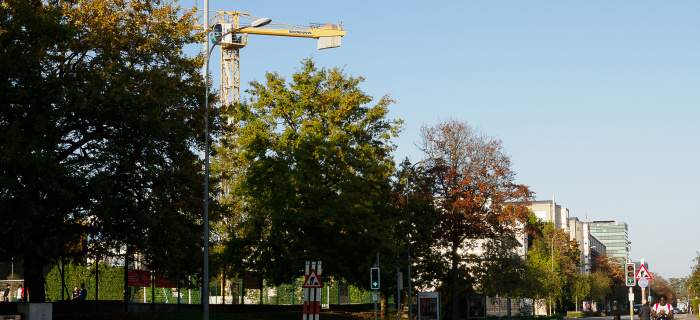 Début de Chantier à Pré-Cartelier (photo D. Gubler)