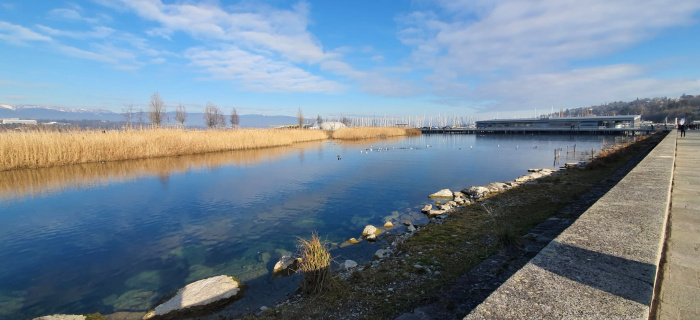 Lagune des Eaux-vives