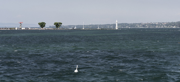 Paysage genevois : bains et phare des Pâquis © Matthieu Gafsou
