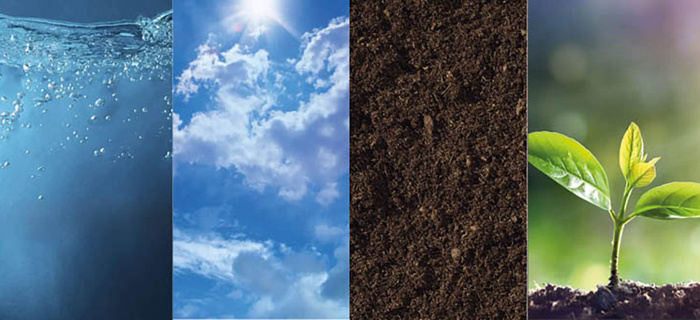 pfas : impact environnemental 