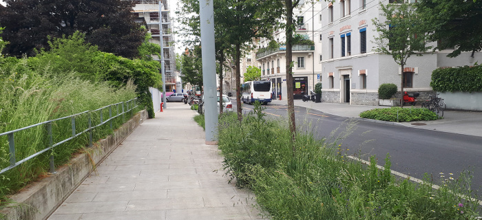 Rue à Genève