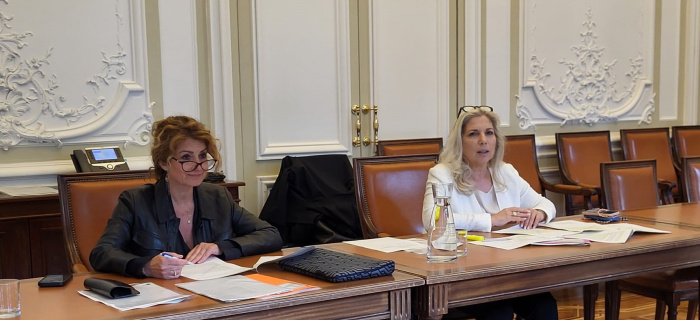 Le Conseil d'Etat