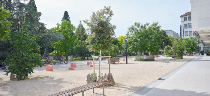 Rue des Rois (c) Loris Von Siebenthal