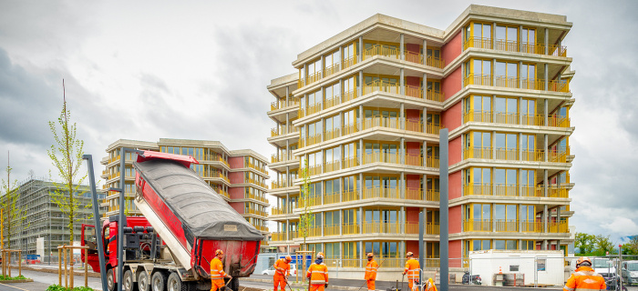 Chantier des Grands Esserts - secteur Ferme - Messicoles @ SIMON CHAMAY