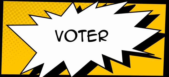 Voter